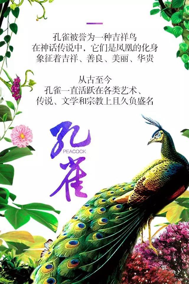 【915-918邵陽(yáng)秋季車(chē)展】鳳臨枝頭，雀雀雀雀雀實(shí)驚艷！