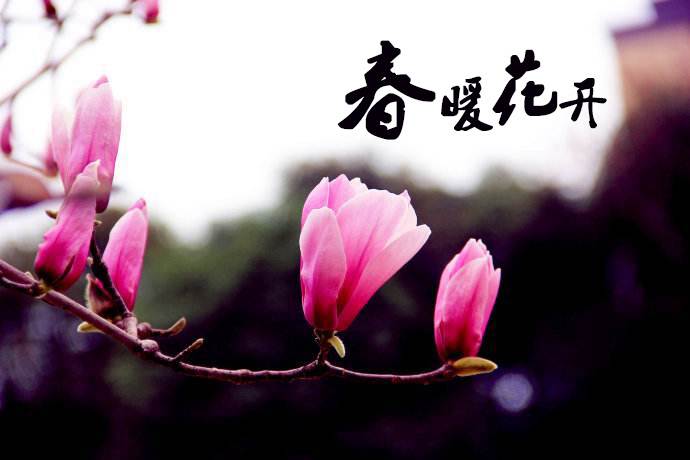 春暖花開 教你春季如何做汽車保養(yǎng)！
