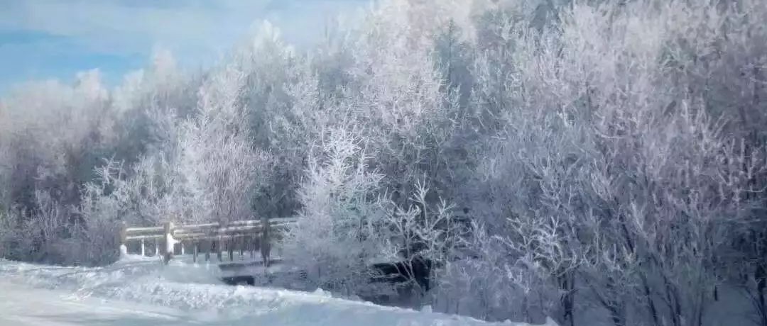 奕行記|奕路向北，駛向雪國(guó)阿爾山