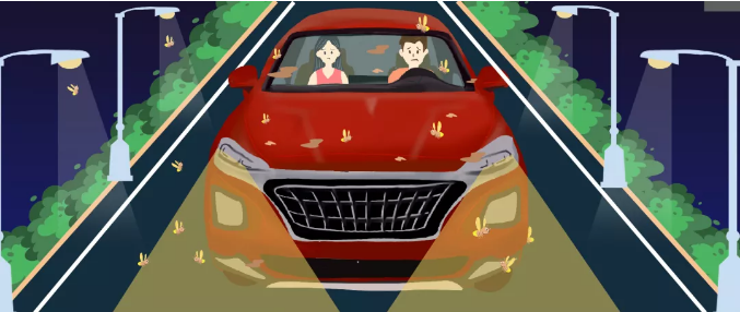 安全清除車身飛蟲，僅需十分鐘